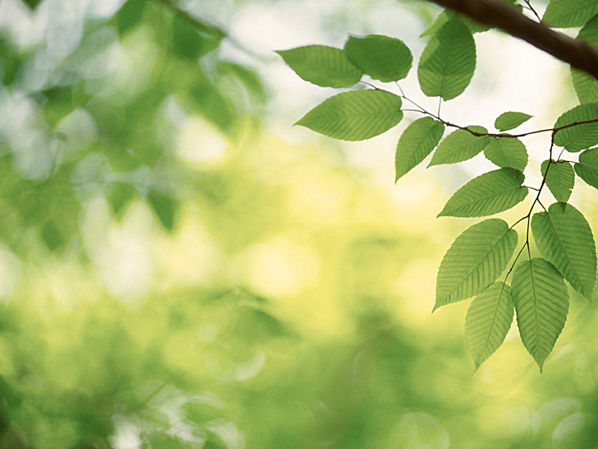 Environmentally aware builders